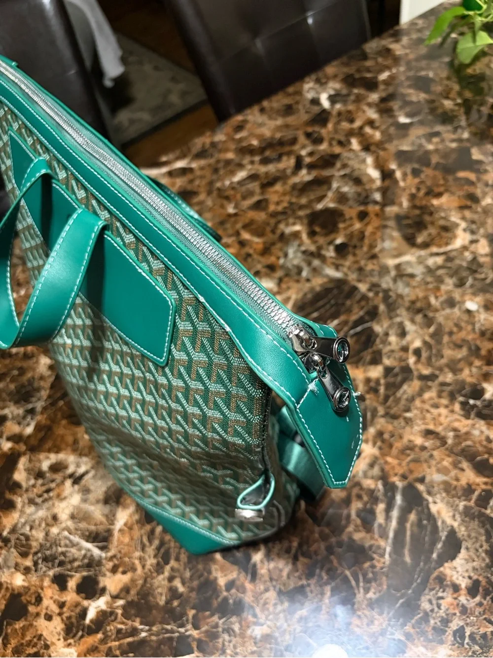 Goyard Green Leather Backpack Tote